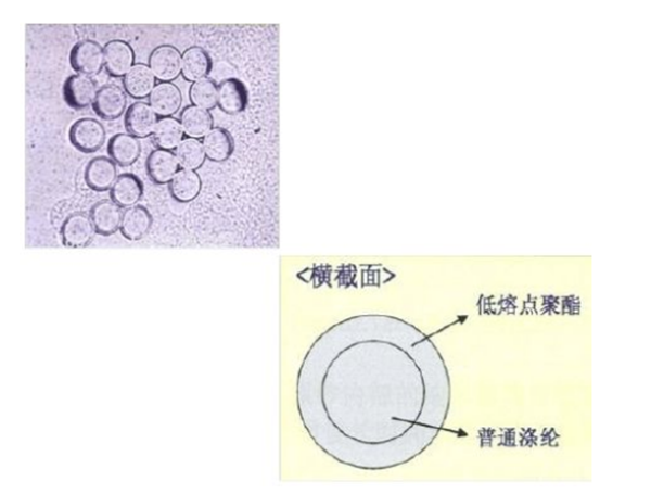 熱熔絲